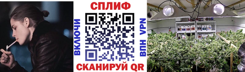 Хочу наркоту Советская Гавань Псилоцибиновые грибы  АМФЕТАМИН  МАРИХУАНА  КОКАИН 