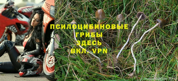 mix Арсеньев