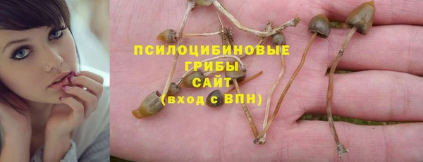 mix Арсеньев