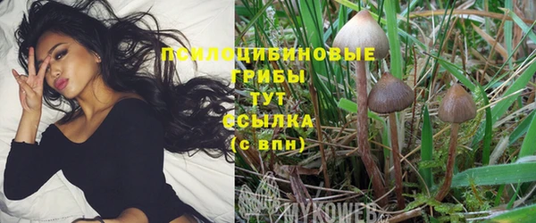 кокаин перу Аркадак